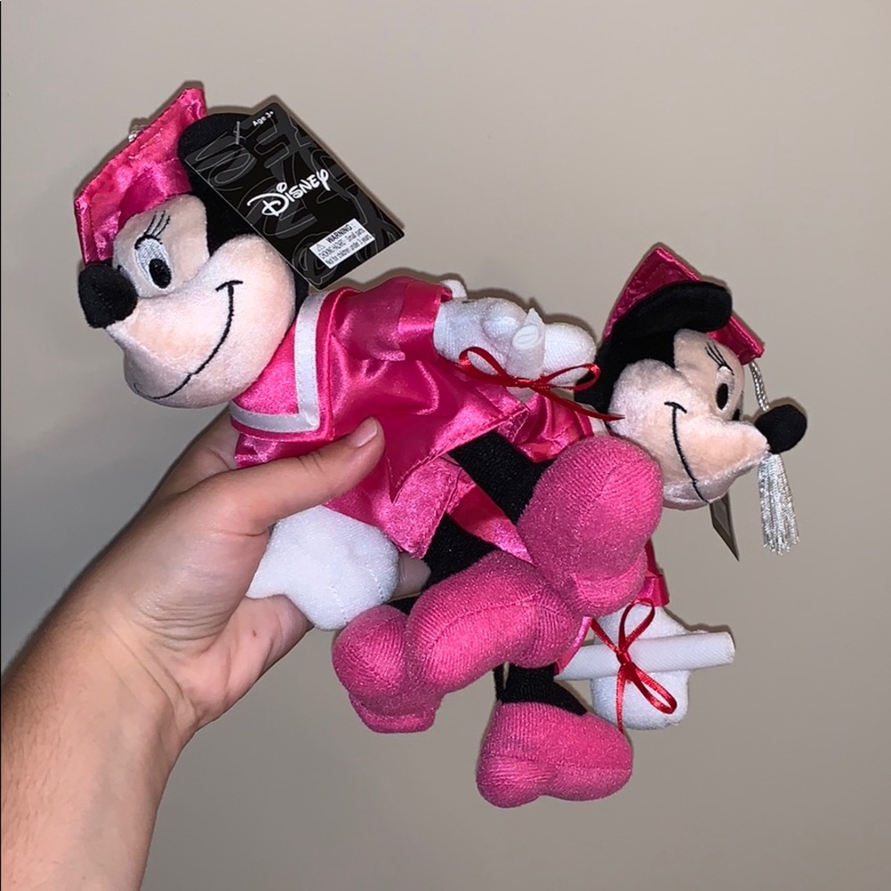 TAKING 1ST OFFER: Minnie Mouse "Graduate" Plush - Picture 4 of 7